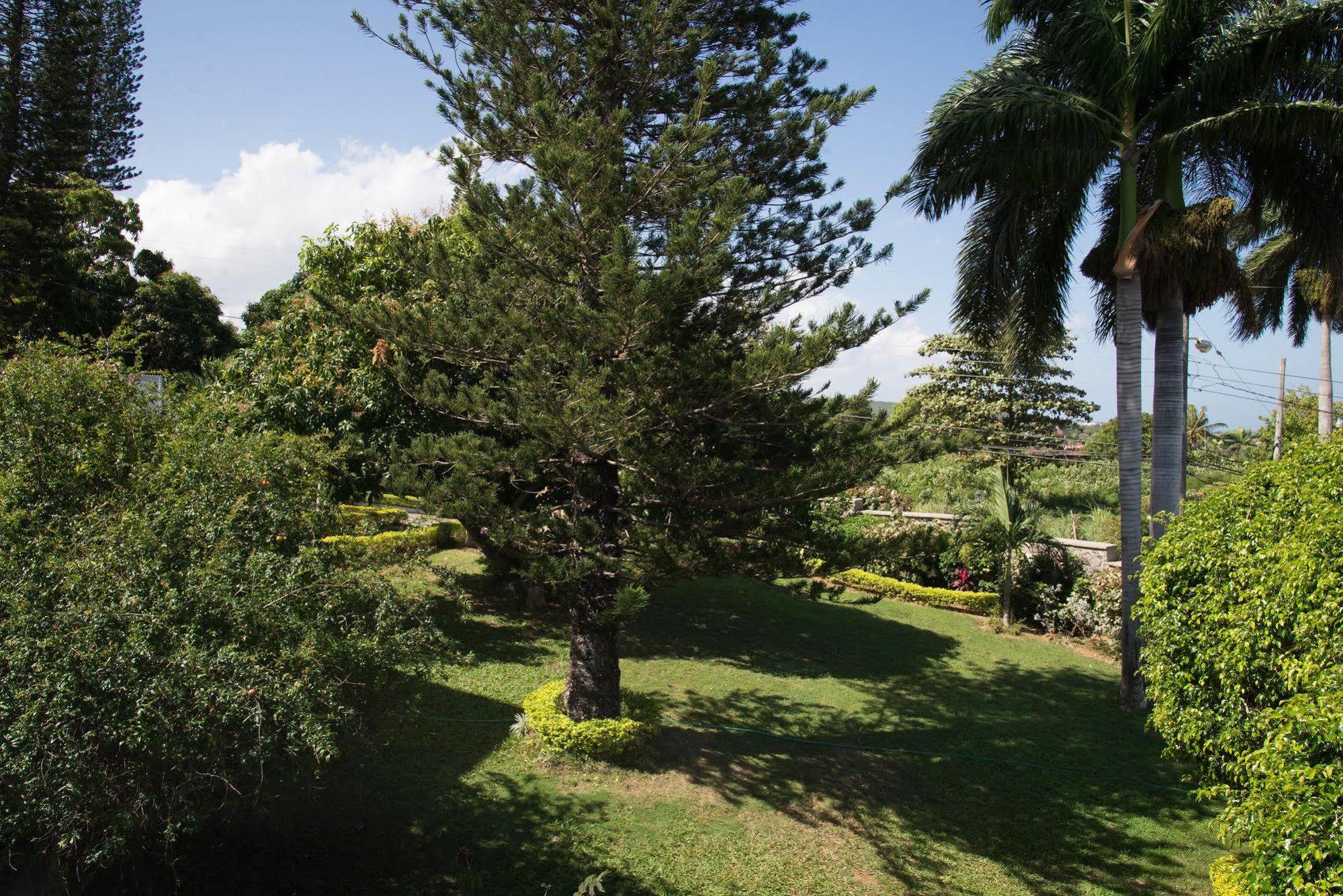 Hatfield South Villa 蒙特哥贝 外观 照片